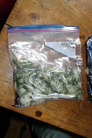 大麻の花穂（バッズ）