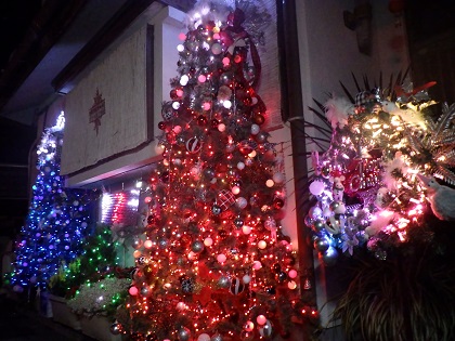 クリスマスツリー飾り付けの様子