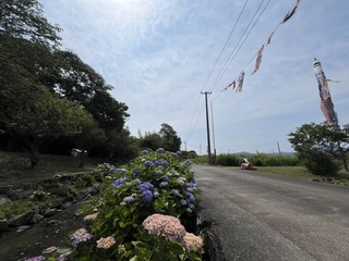 風景５