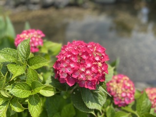 風景６