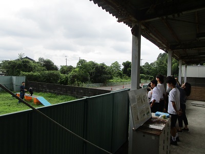 警察犬訓練状況見学