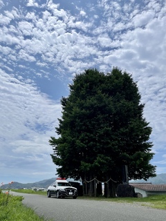 写真コンクール
