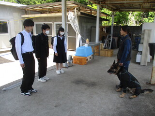 中学生が警察犬を見学している様子