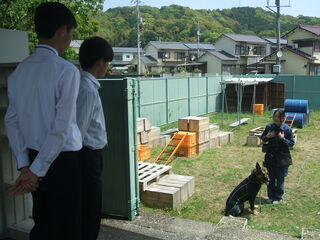 警察犬を見学している様子