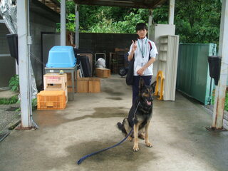警察犬の見学