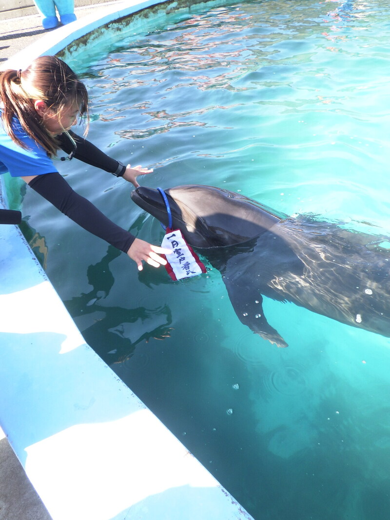 令和7年全国地域安全運動に伴う出発式を開催しました | 高知県警察