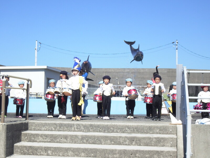 鼓笛隊とイルカ