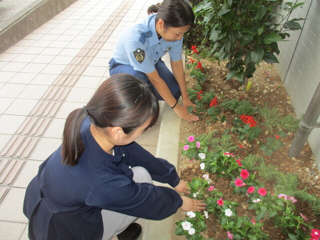 花を植えている様子